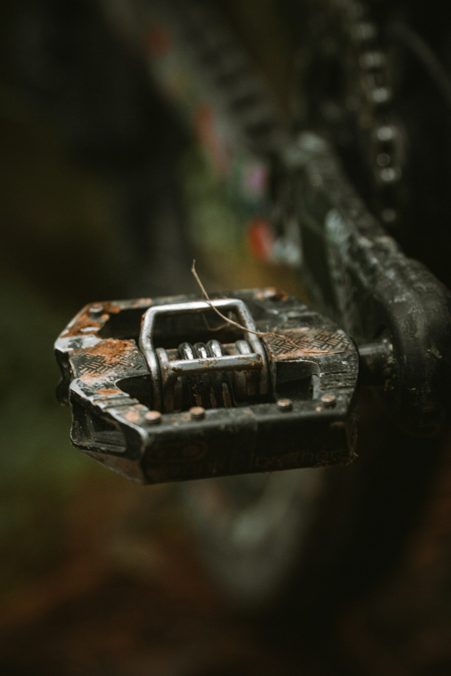 Rust Community Spotlight: Stories from Players